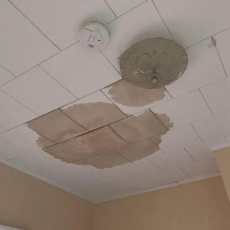 Ceiling Water Damage Repair in Portage, IN