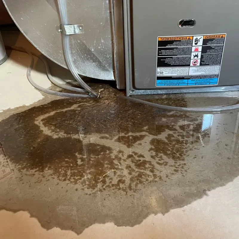 Pipe Burst and Leak Restoration in Portage, IN
