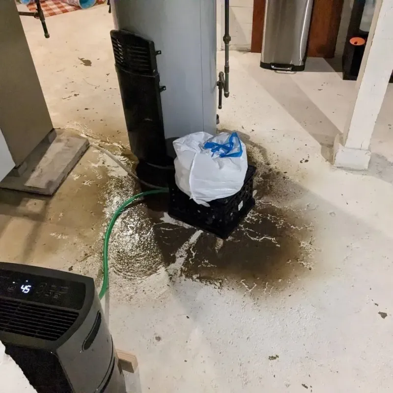 Sewage Backup Cleanup Service in Portage, IN